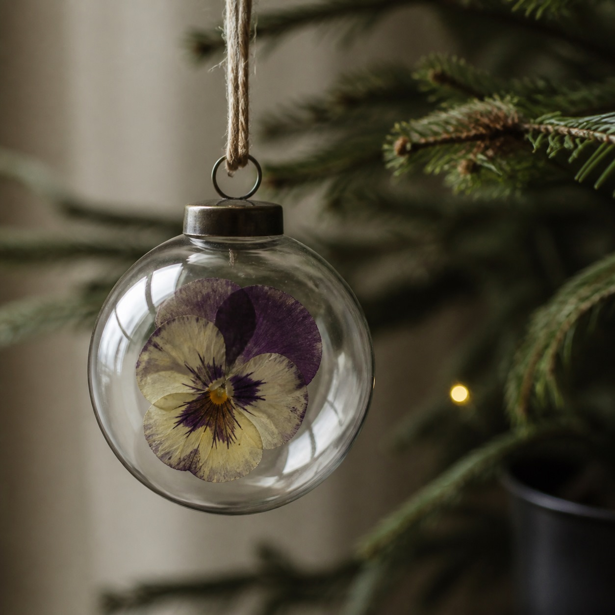 Pressed flower sealed in a clear ornament