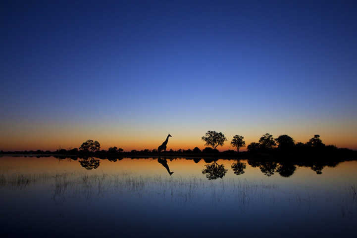 Silhouette series photo by Mario Moreno