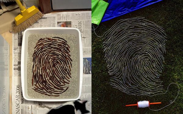 Everyday objects arranged as a fingerprint by Kevin Van Aelst