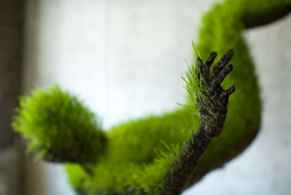 Mathilde Roussel hanging living grass body