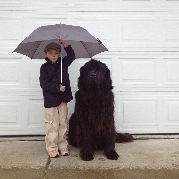 Little boy and his best friend Max