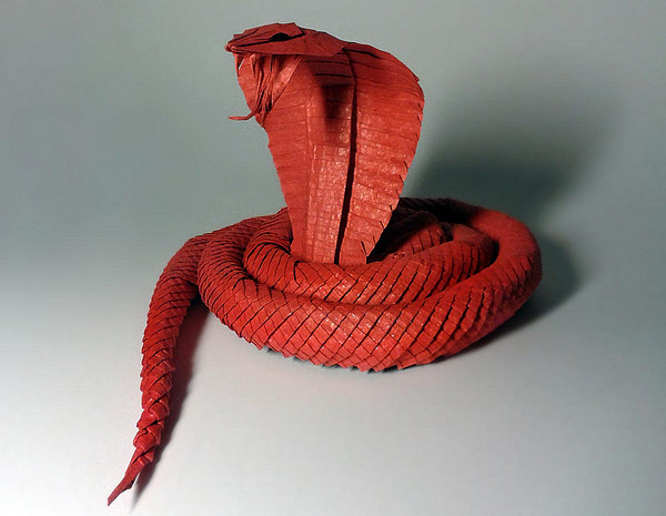 origami15