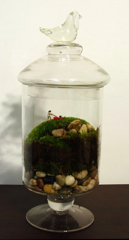 Hanging glass terrarium