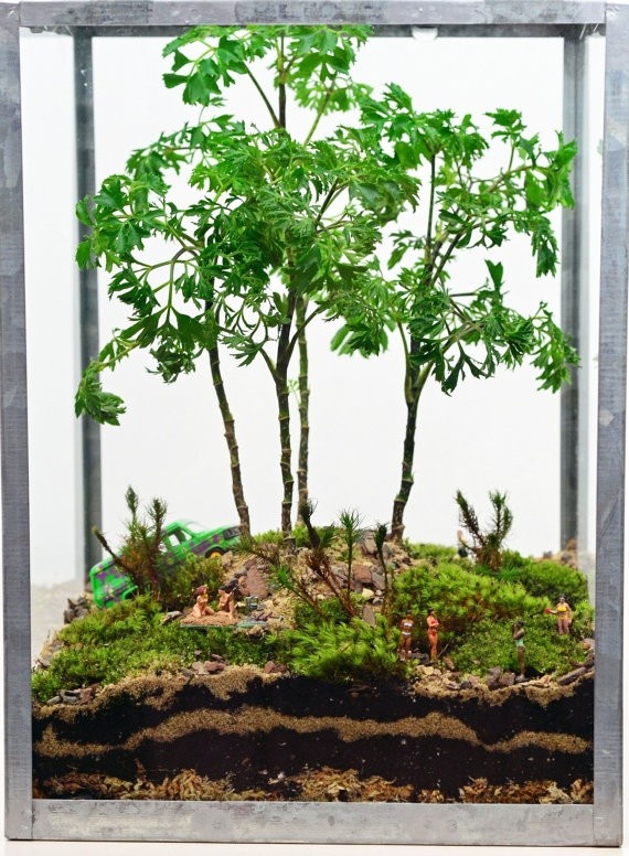 Apothecary-style terrarium jar