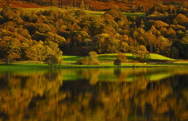 18landscape