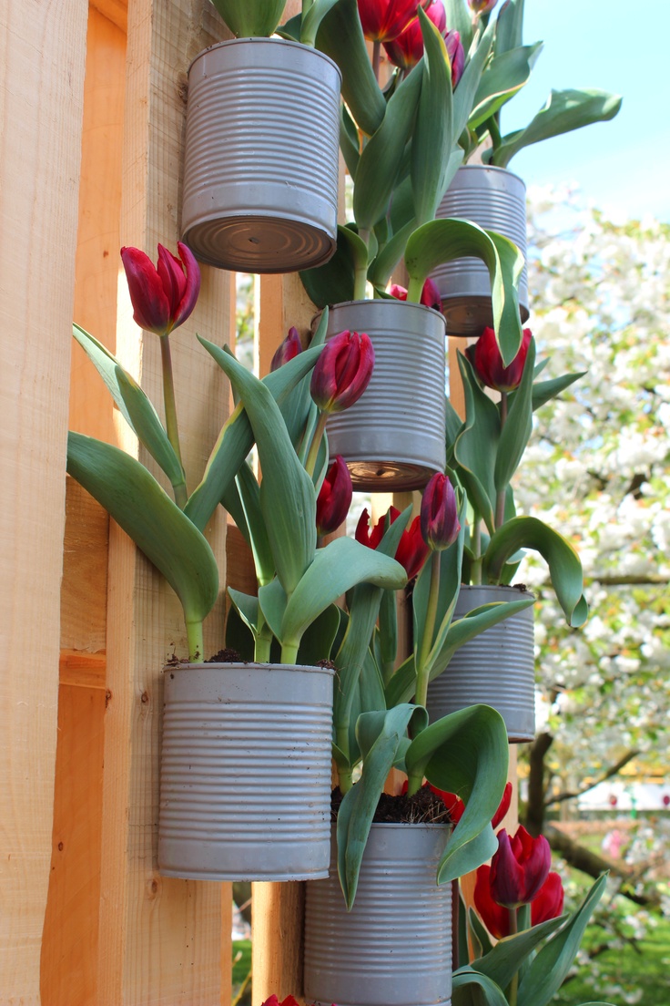 diy-garden15