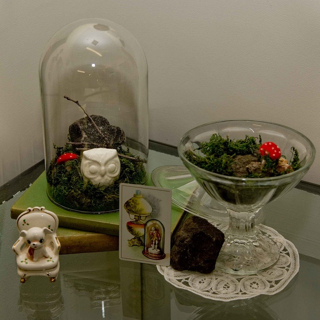Compact tabletop terrarium