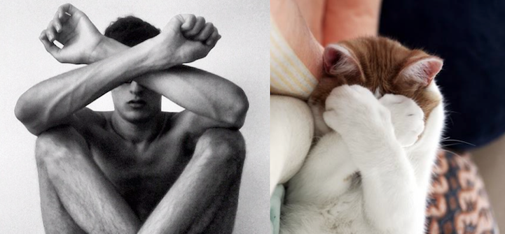 Des Hommes et des Chatons style pairing