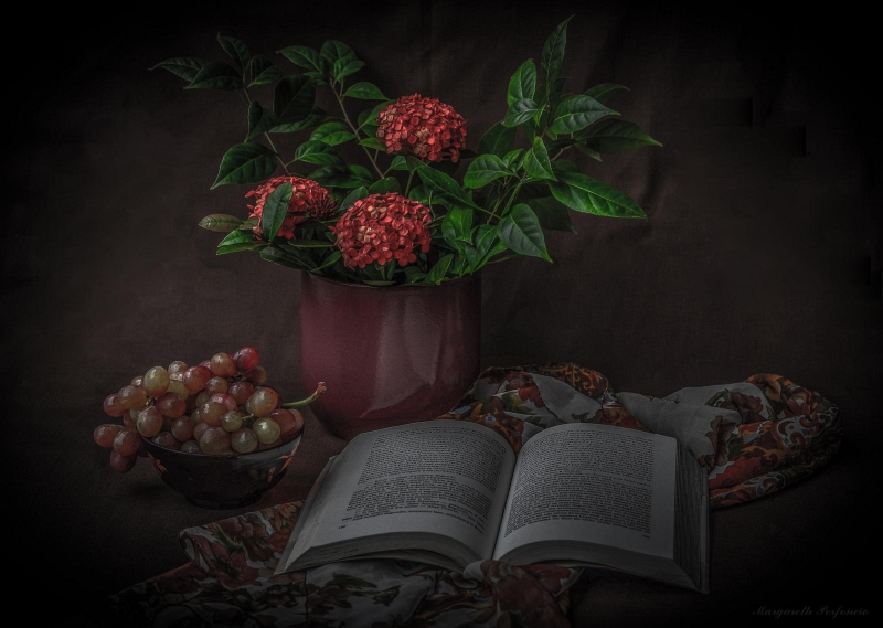 still-life06