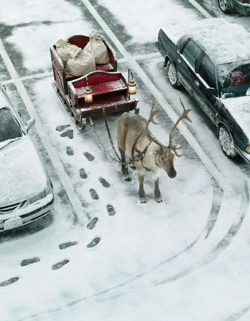winter wonderland01