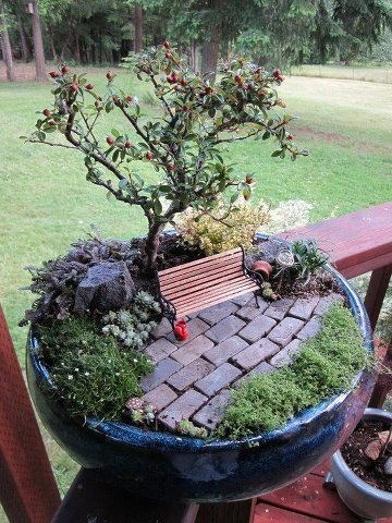 Miniature garden inspiration