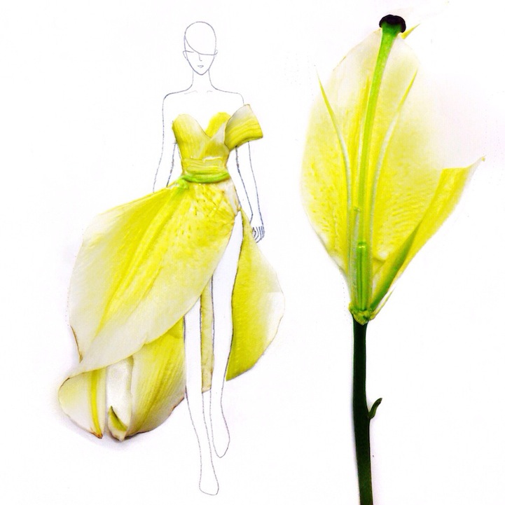 Grace Ciao Bloom Belle style petal dress illustration
