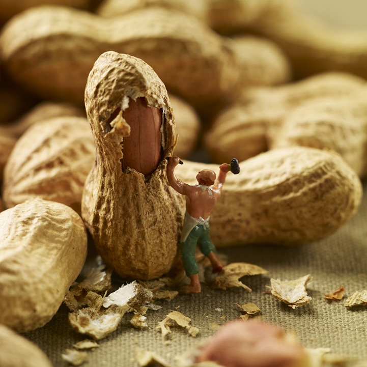 Tiny people in a dessert world