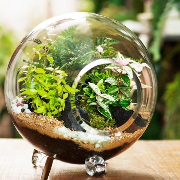 Terrarium soil and drainage layers