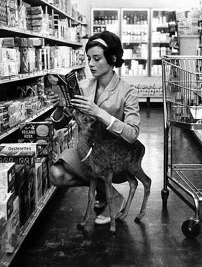 Audrey Hepburn with her pet fawn Pippin