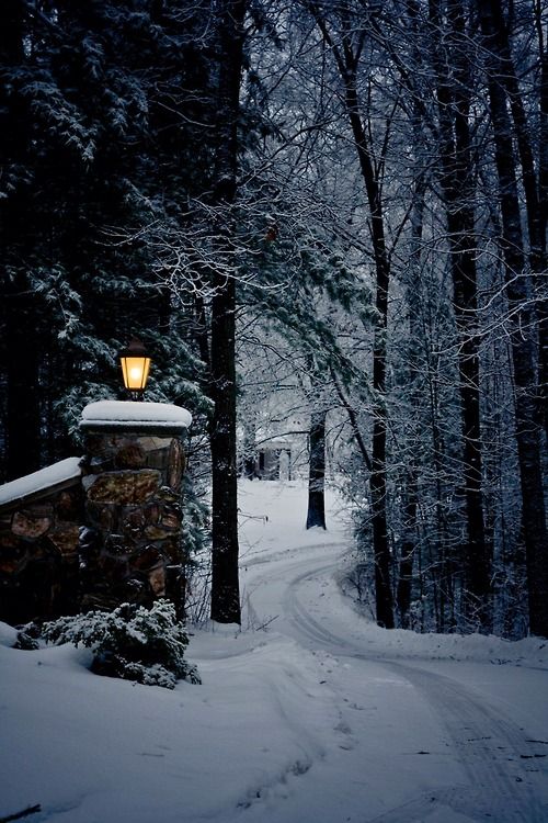 winterscapes11