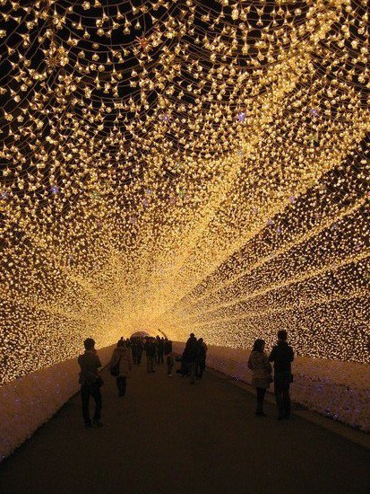 Tunnel of lights, Japan
