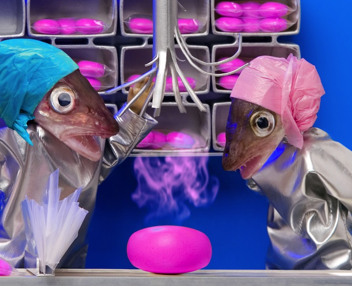 acbe fish-head tableau
