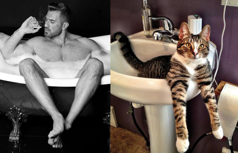 Final handsome men versus cute kittens pair