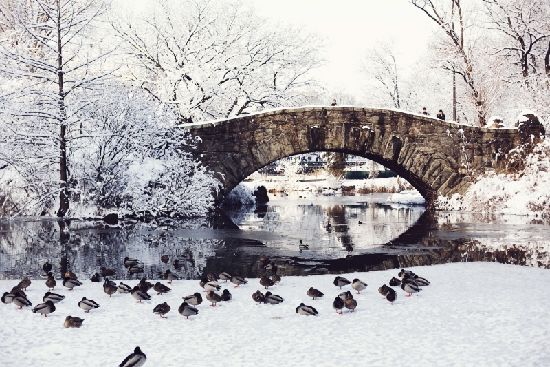 Parisian life photographed by Carin Olsson