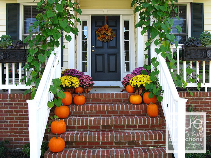 Autumn porch styling with seasonal plants