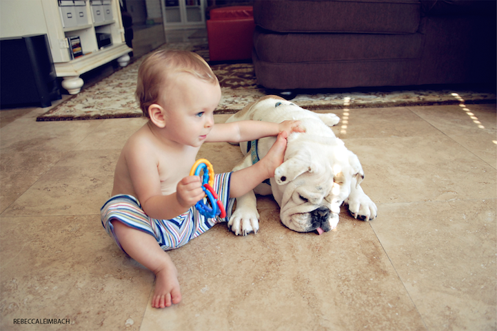 young-girl-bulldog18