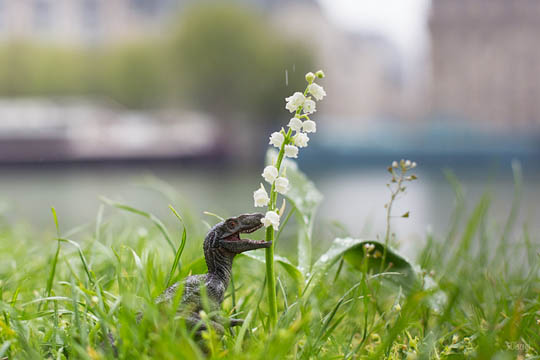 Arnaud Brecht Discret photo