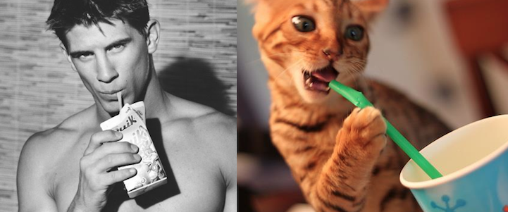Men and kittens photo pair