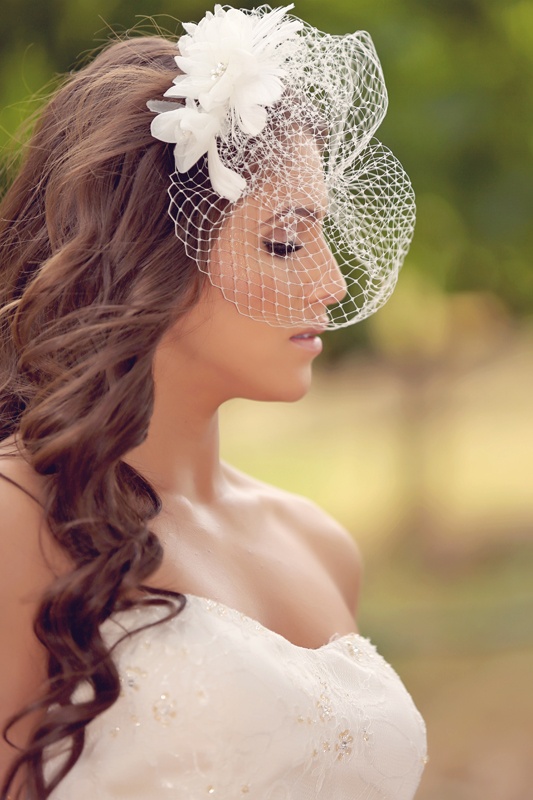 Dramatic birdcage veil styling