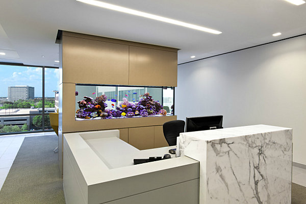 in-wall-aquariums02