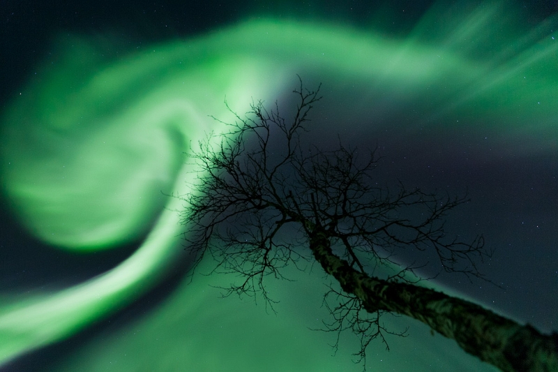 Arild Heitmann01