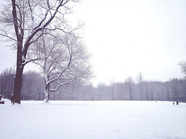 winterscapes24