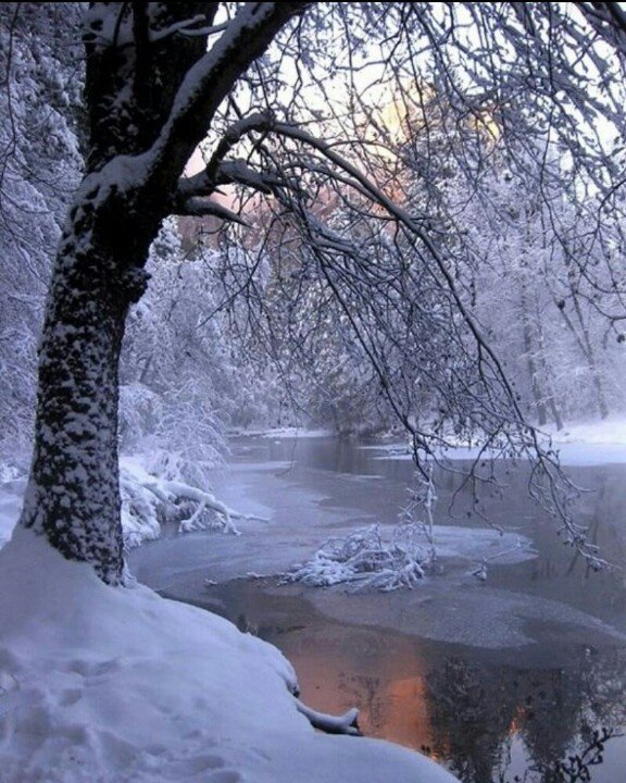 winterscapes05