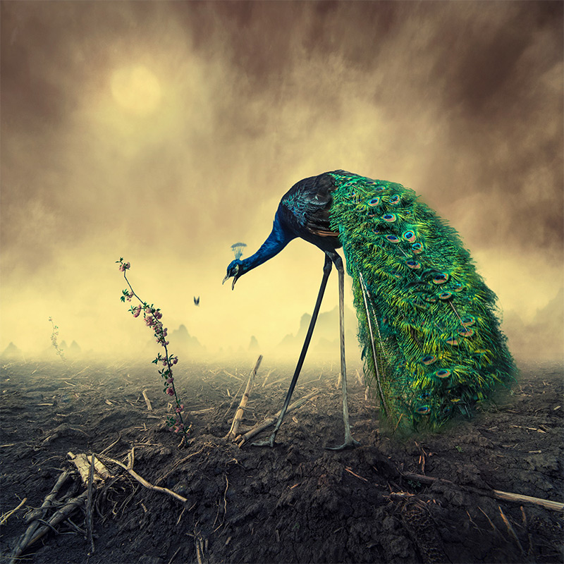 Caras Ionut digital surreal portrait