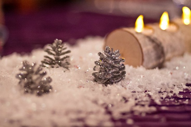 winter-wedding22