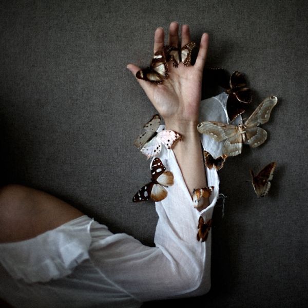 Butterflies gathered on and around a white dress in Emmanuelle Brisson’s series