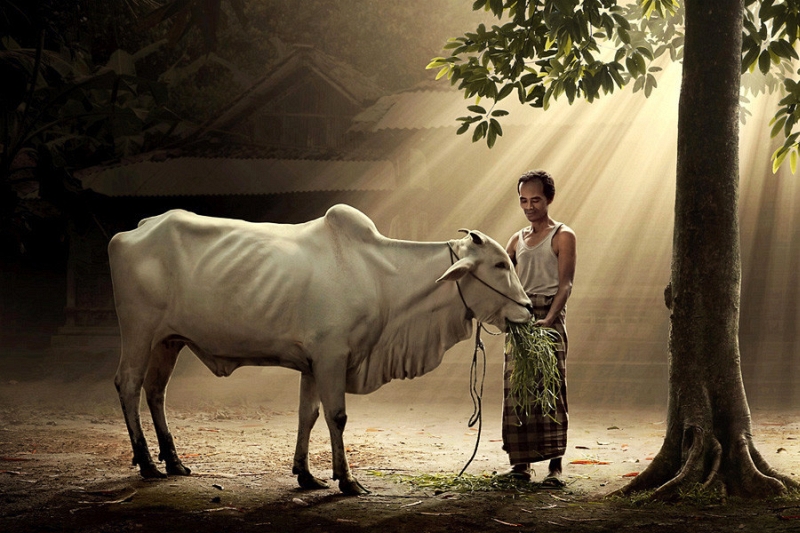 Sukron Ma’mun photo art from Indonesia