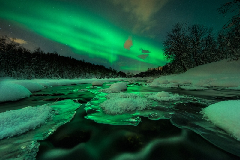 Arild Heitmann