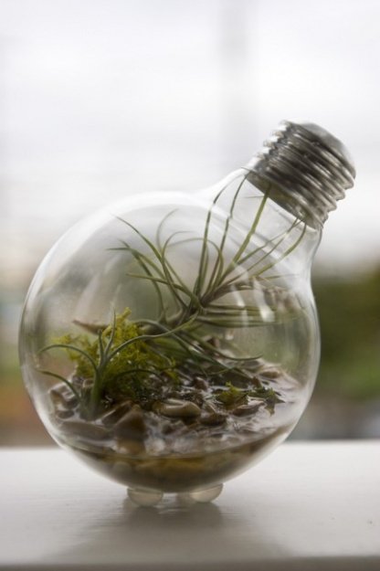 Small eco-friendly terrarium on a shelf