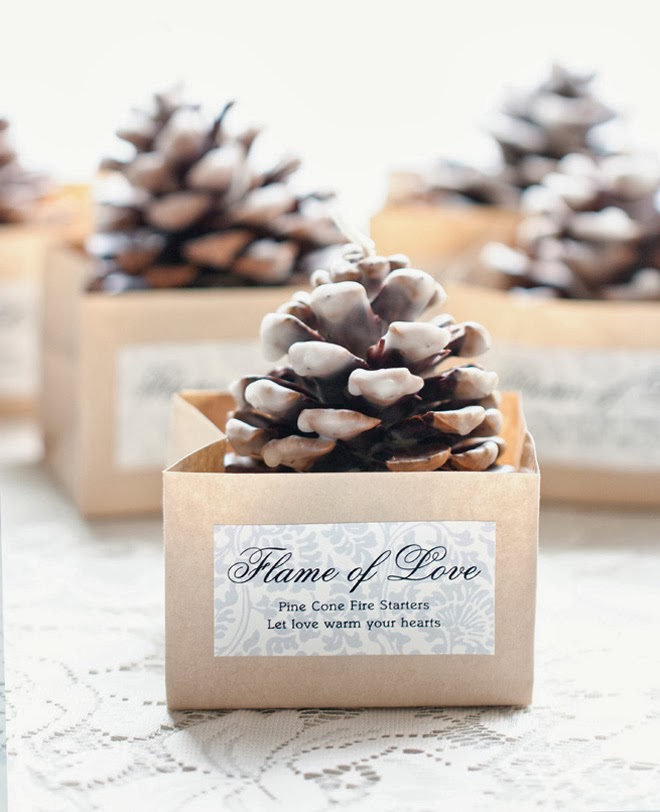01 Pinecone Fire Starter Favors