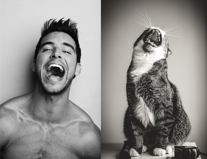 Side-by-side handsome man and kitten
