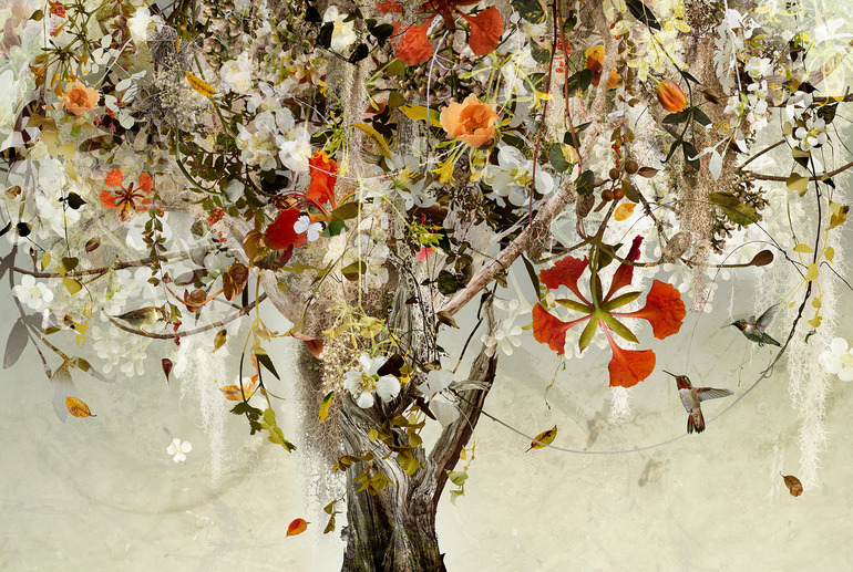 Photo-fusion artwork by Ysabel LeMay