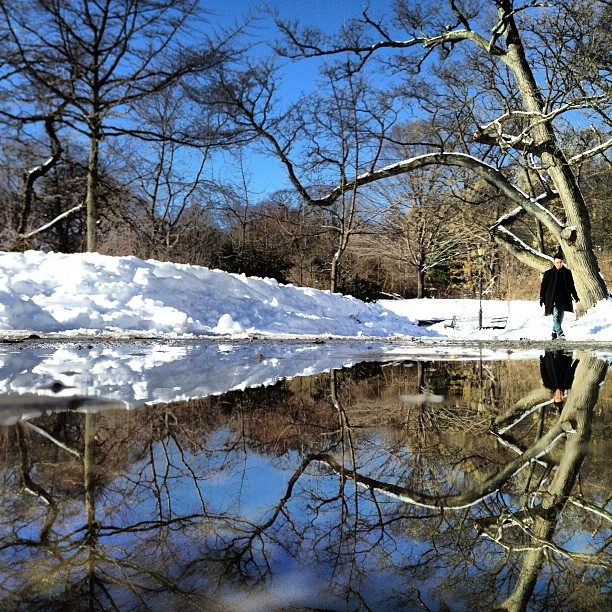 NYC puddle reflection vantagepointnyc