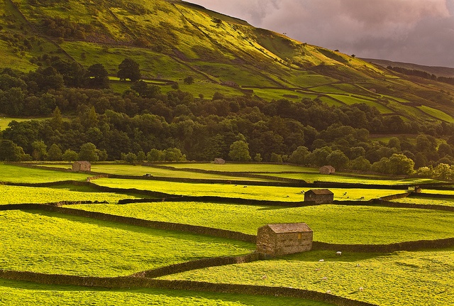 11landscape