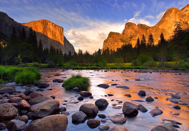Landscape frame with rich natural tones