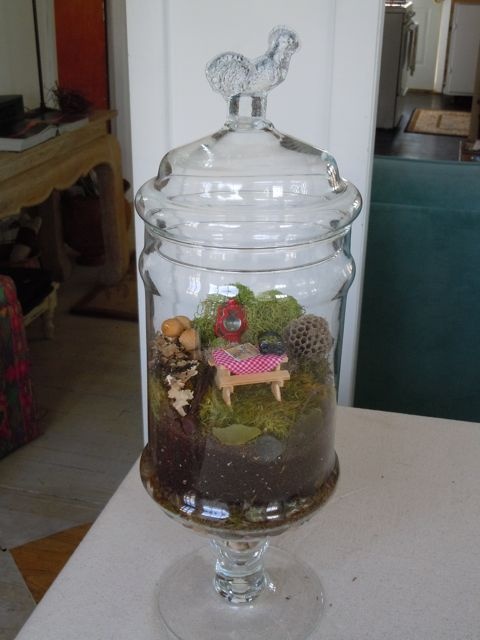 Geometric glass terrarium