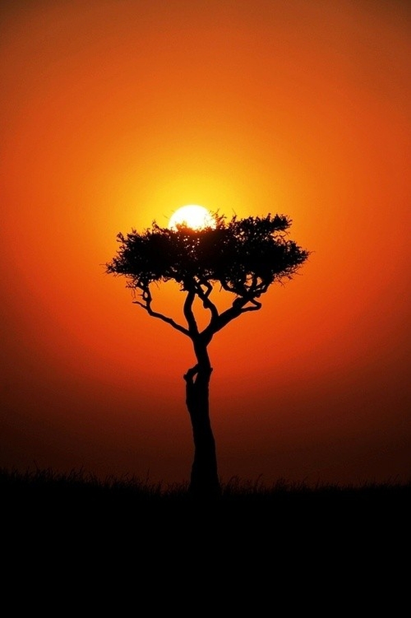 Stunning-Sunrise-Photos09 Warm sunrise colors over a quiet horizon