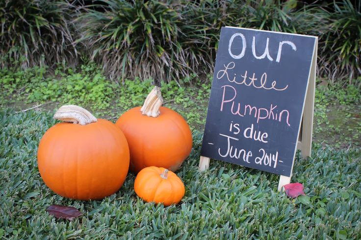 Sweet pregnancy announcement