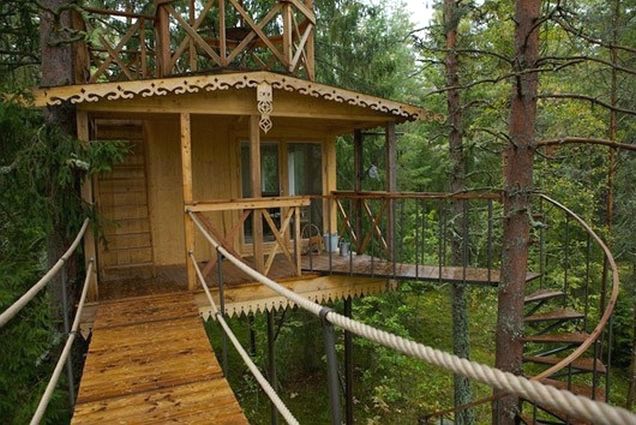 Tree house among mature trees