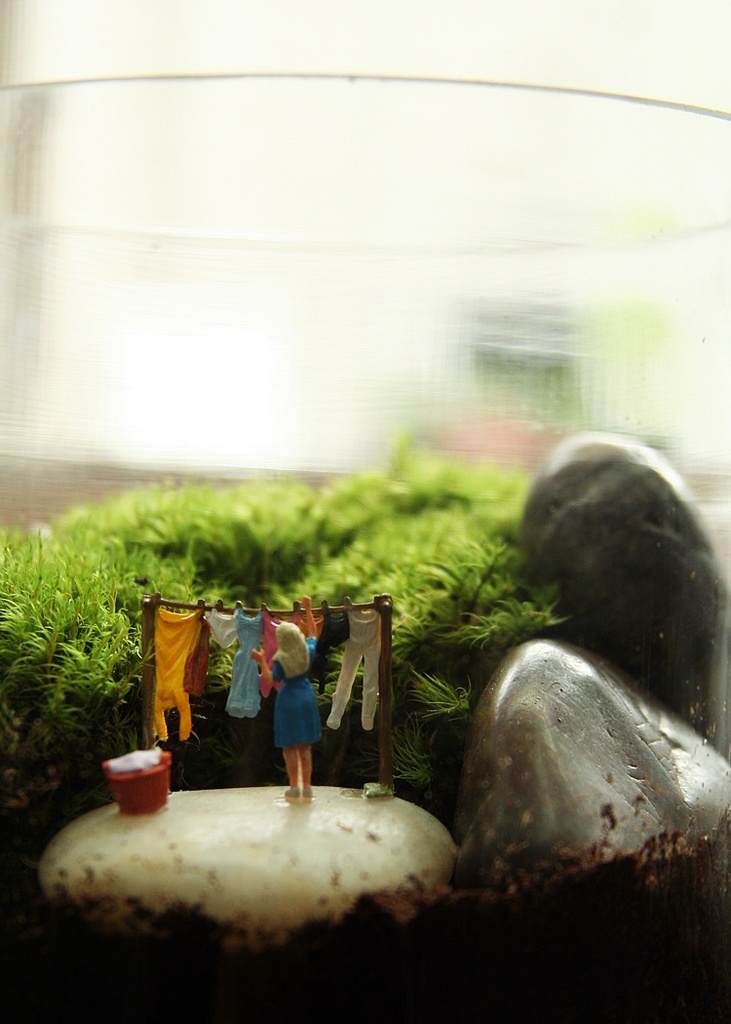 Tall glass terrarium with plants